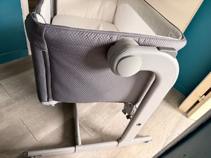 Cododo chicco - photo numéro 4