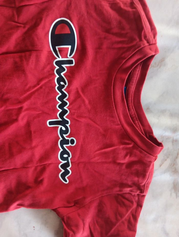 Tee shirt champion - photo numéro 2