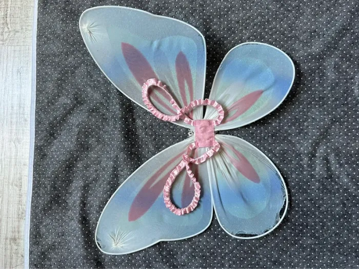 Déguisement ailes de papillon 🦋 - photo numéro 2