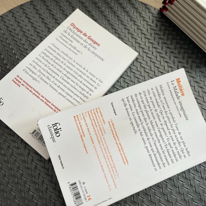 Livre pour bac de français - photo numéro 2