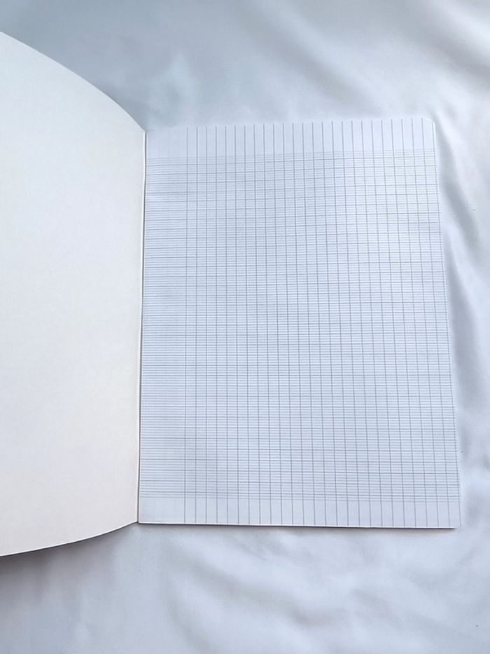 cahier Nature Future 24 x 32 96 pages NEUF - photo numéro 3