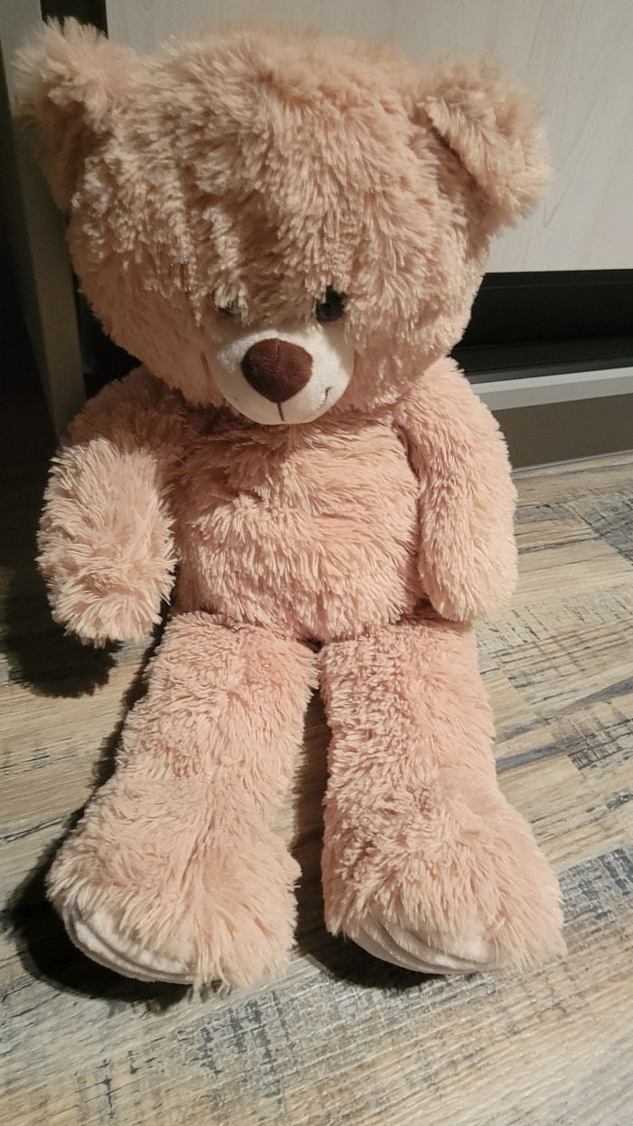 Peluche ours - photo numéro 5