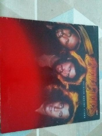 Vinyle les Bee Gees