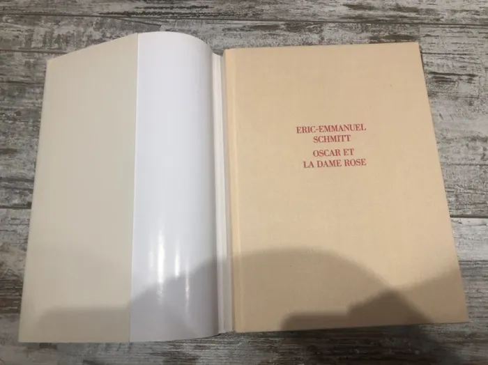 Oscar et la dame rose - photo numéro 2