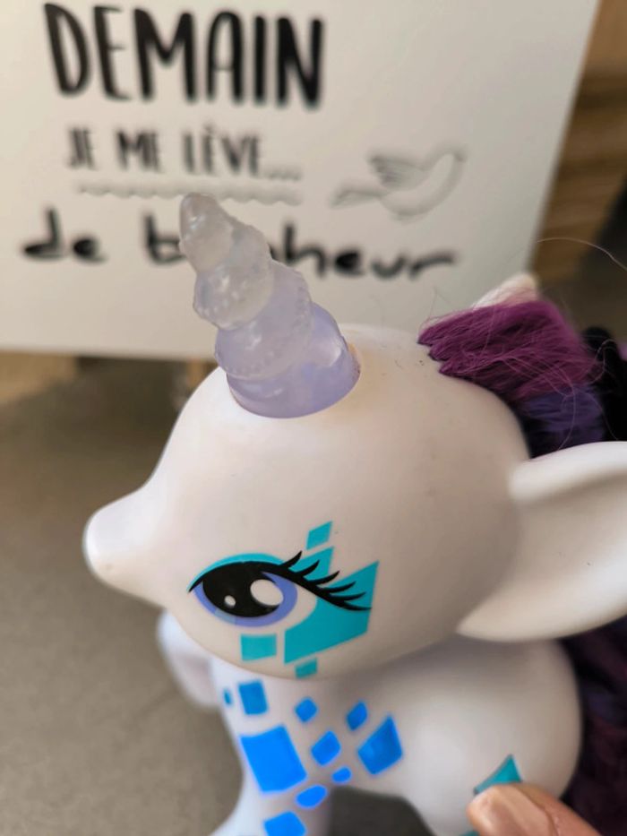 Grand poneys - photo numéro 3