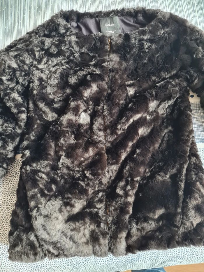 Veste - photo numéro 5