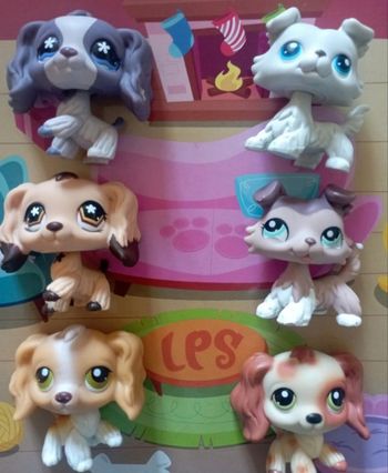 Lot petshop