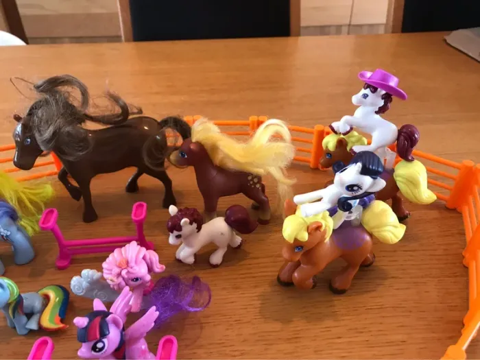 Enclos petit poney - photo numéro 2