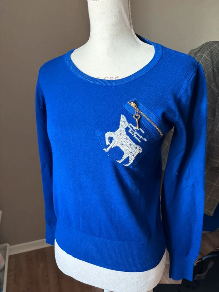Pull cerf bleu
