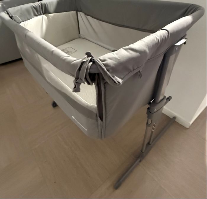 Cododo - photo numéro 2