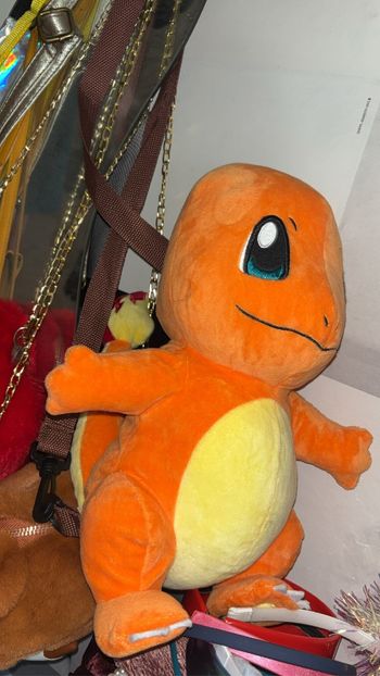 Pokémon sac