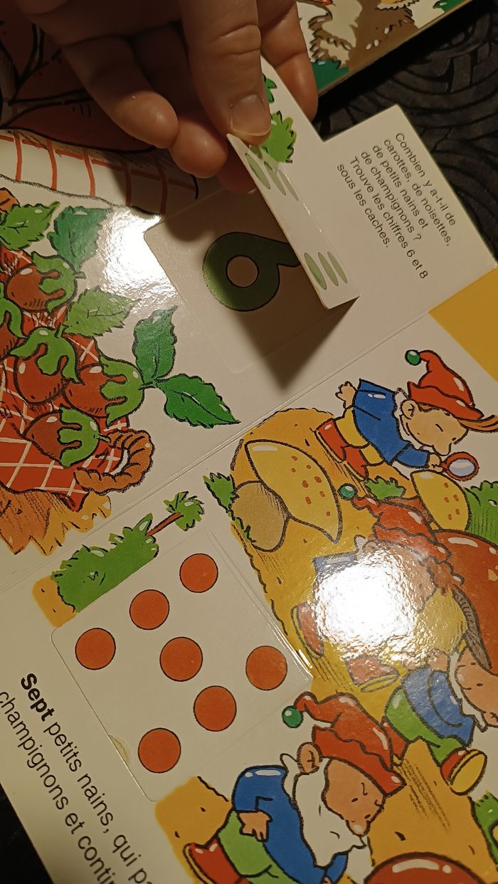 Livres Cache-cache Animaux et chiffres - photo numéro 3