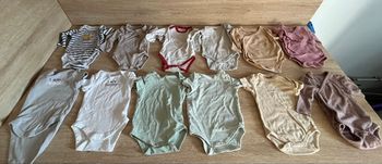 Lot de 12 bodies 3 mois 