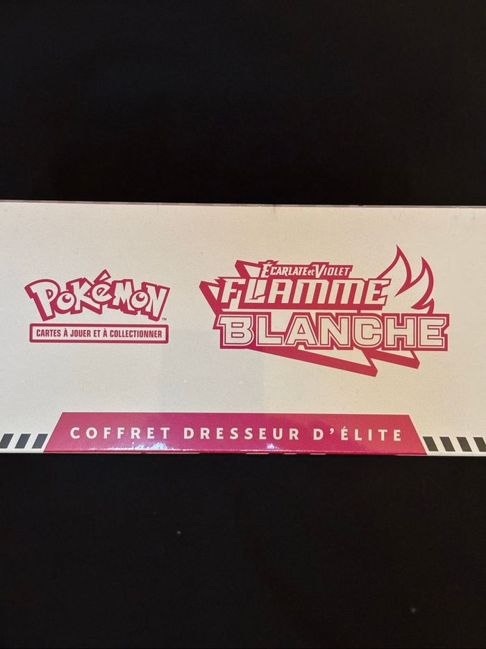 ETB EV 10.5 Flamme Blanche - photo numéro 2