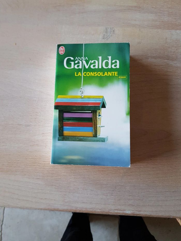 La consolante - Anna Galvada