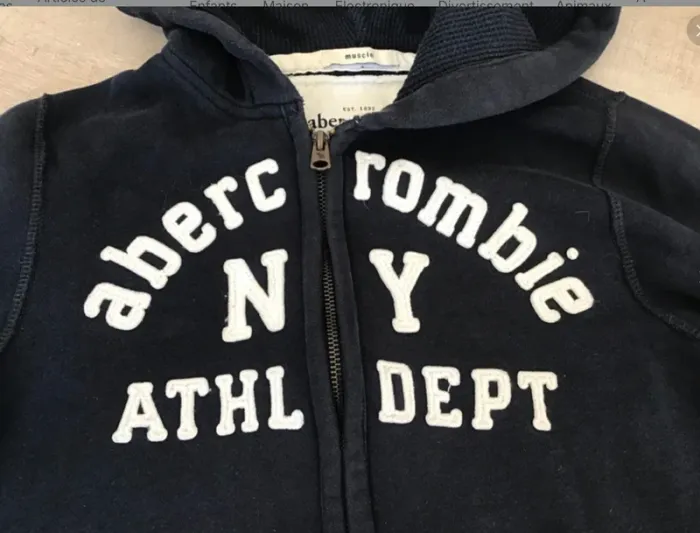Sweat abercrombie kids - photo numéro 2