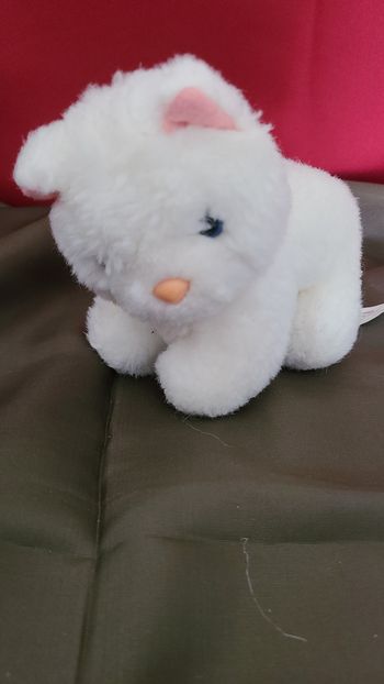 peluche chat blanc playwell toys