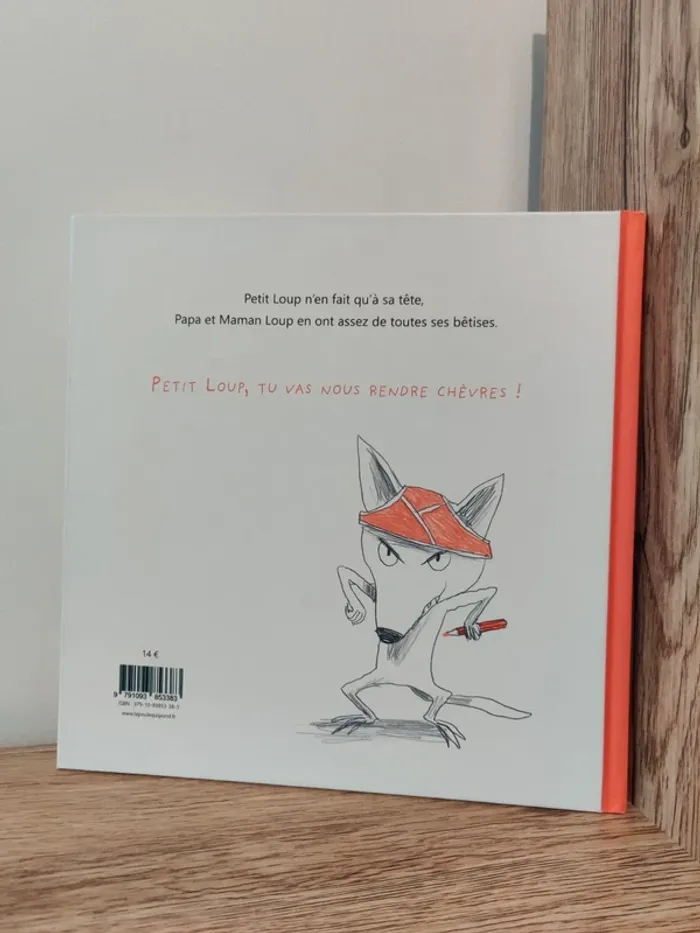 Livre enfant J'aurais dû écouter papa et maman - photo numéro 2
