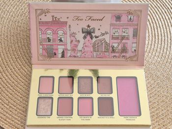 Palette de fards à paupières Too faced