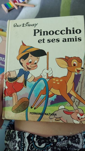 Livre pinocchio et ses amis