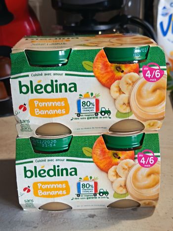 Lot de compote Bledina pommes bananes