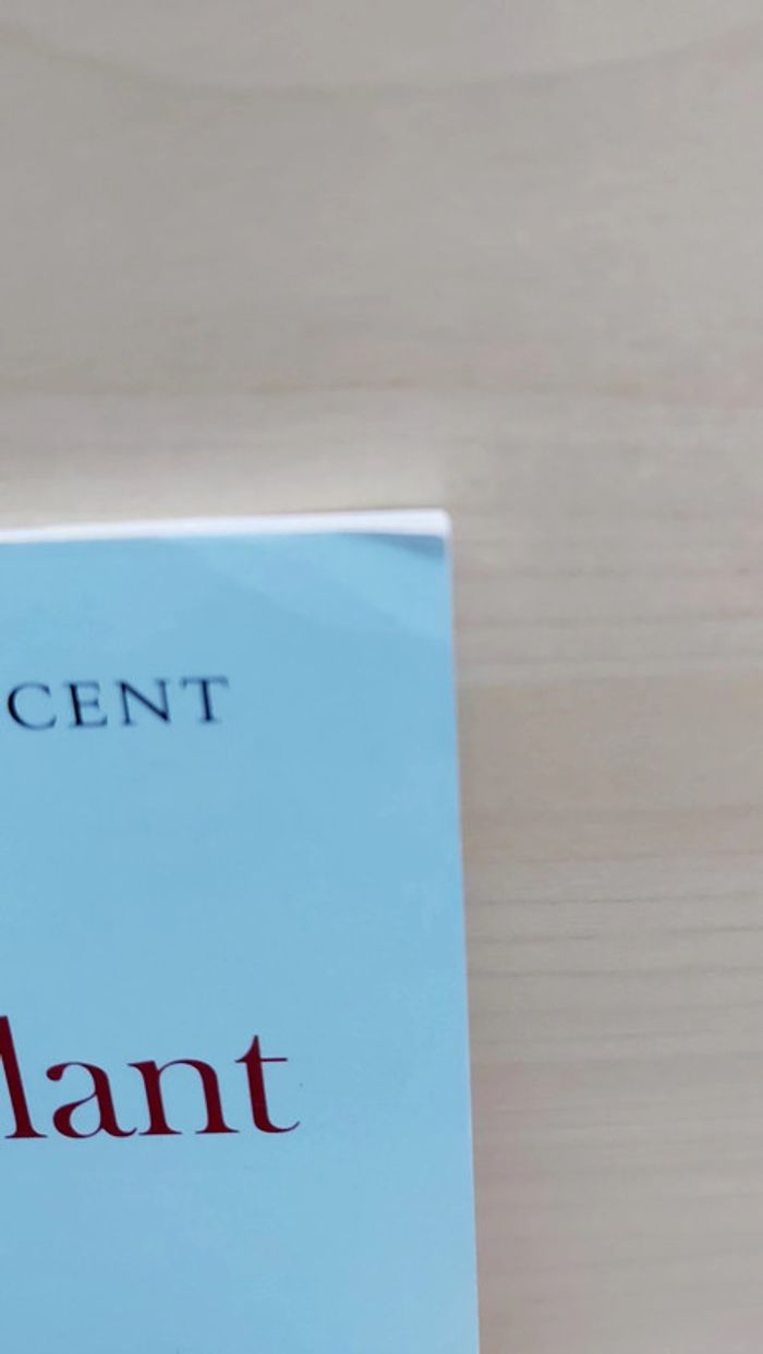 🌺 Livre (école des loisirs) : Lilienthal le fou volant - photo numéro 6