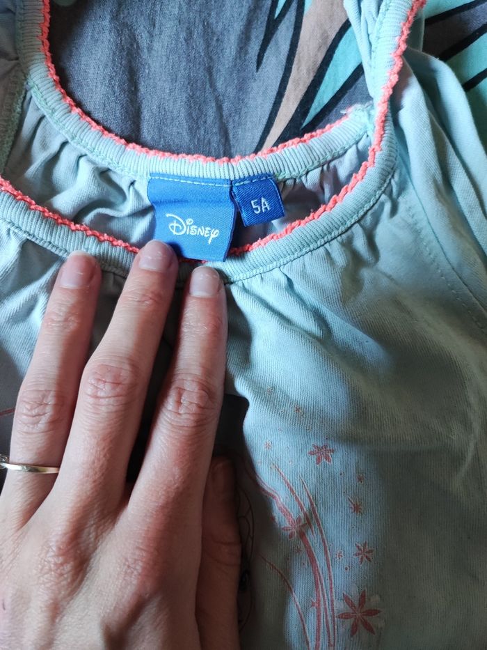 Nuisette reine des neiges - photo numéro 3