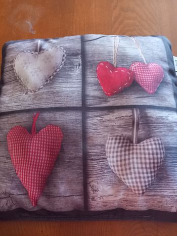 Coussin 40x40 cm.