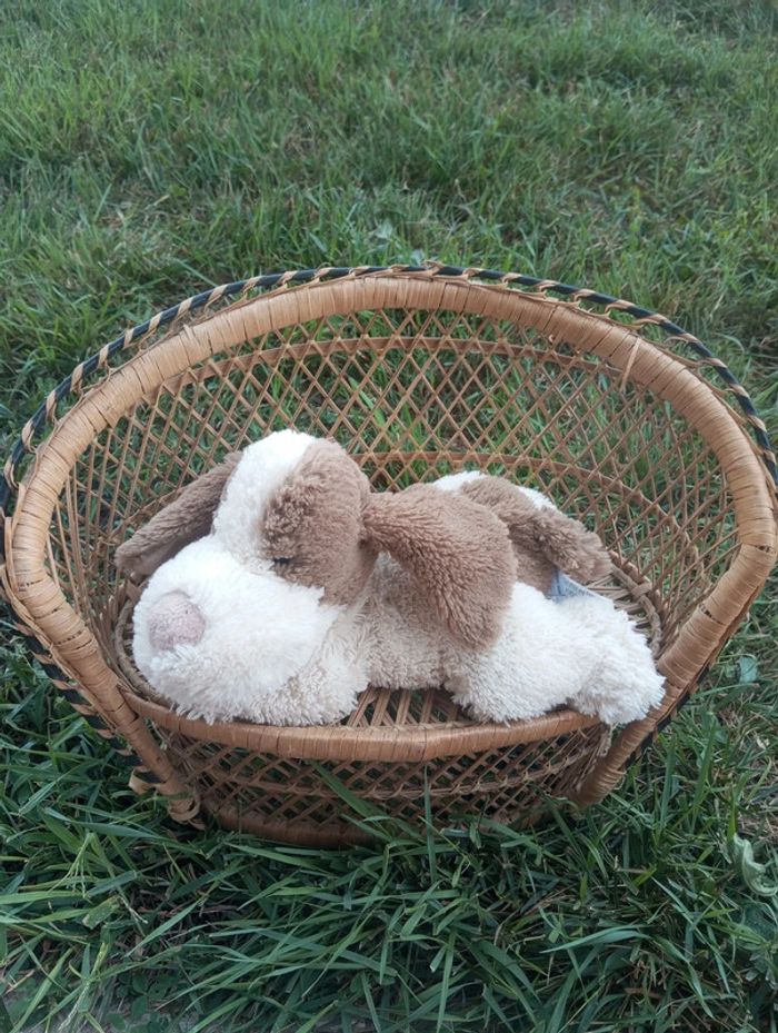Bouillotte chien