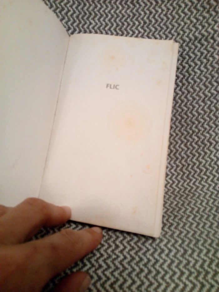 Flic -chroniques de la police ordinaire- Bénédicte Desforges - Éditions J'ai Lu - photo numéro 9