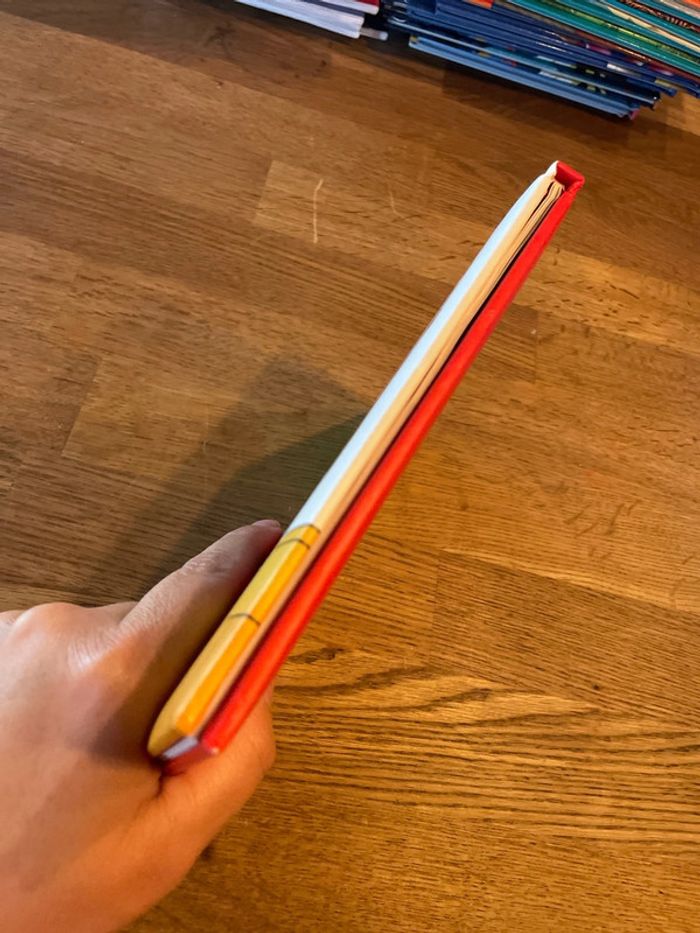 Livre Caillou La sortie - photo numéro 5