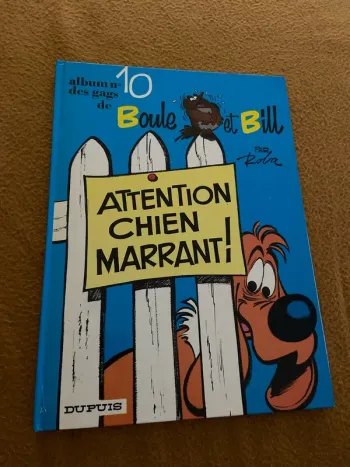 Boule et bill