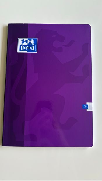 Cahier grands carreaux 21x29.7
