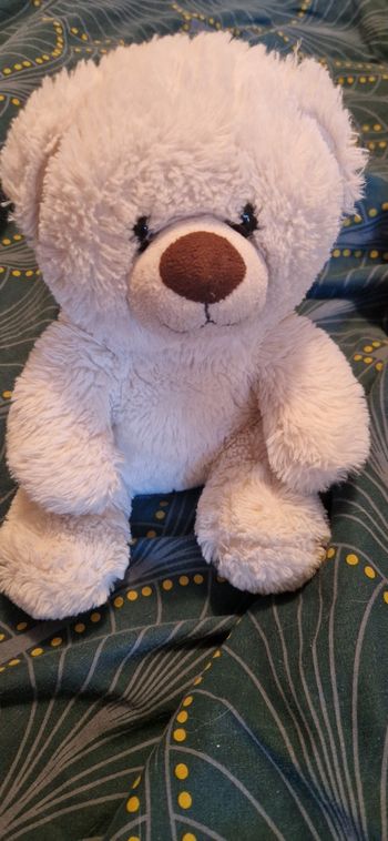 Ours en Peluche