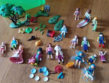 Lot playmobil.