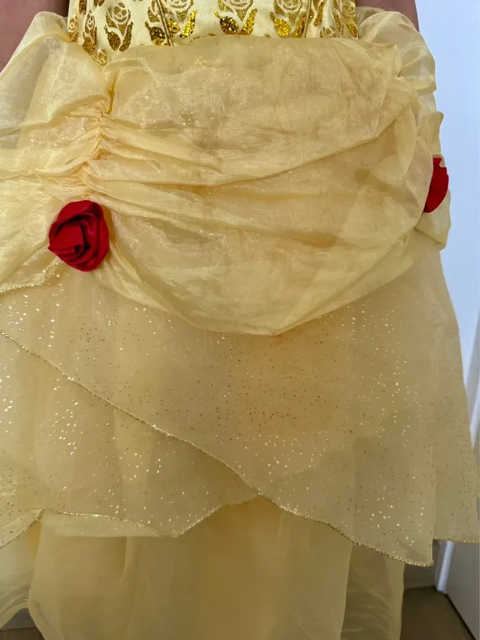 Robe de princesse - photo numéro 5