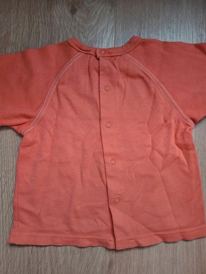 T-shirt Absorba 12 mois - photo numéro 4