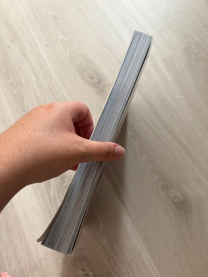 Grand livre reine des neiges 2 - photo numéro 3