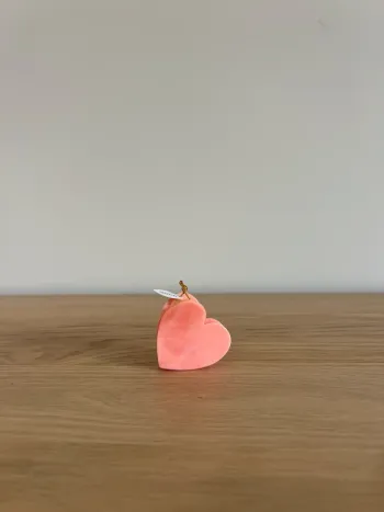 Pince à cheveux Coucou Suzette