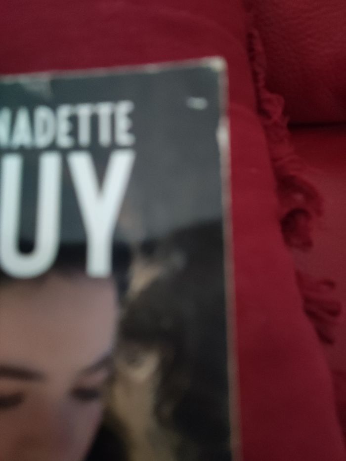 Les larmes de l'Hudson roman - photo numéro 3