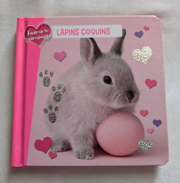 Livre enfant Lapins coquins, pages cartonnées