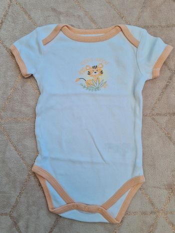 Bodie fille 12 mois little explorer