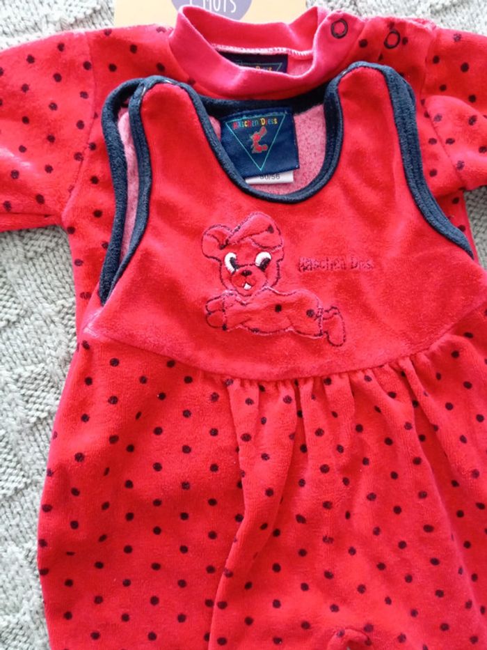 Ensemble coccinelle 🐞 1 mois - photo numéro 2