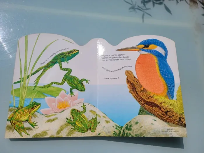 Rare, Superbe livre grand format à toucher 🐢 La vie dans la rivière 🐟 - photo numéro 10