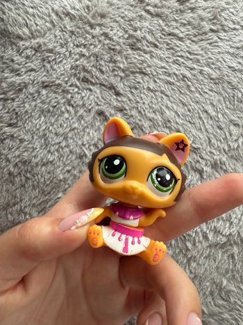 Petshop chat égyptien