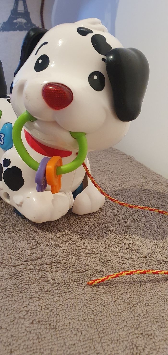 Mon petit dalmatien Vetch - photo numéro 2