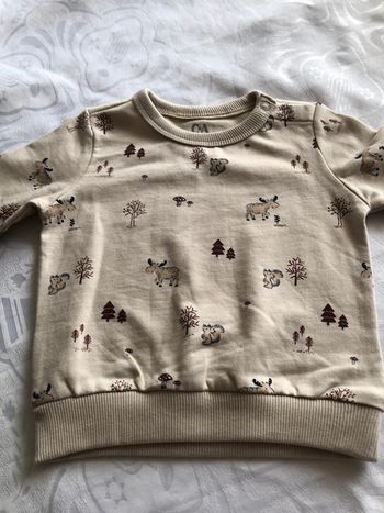 Lot de 3 sweat-shirt neuf C&A taille 6/9mois 74 cm