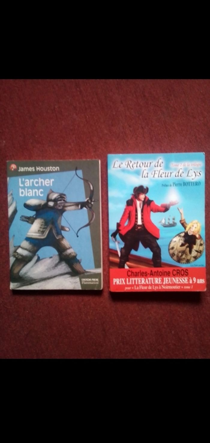 Aix choix : livre pour adolescents (manga etc...) - photo numéro 5