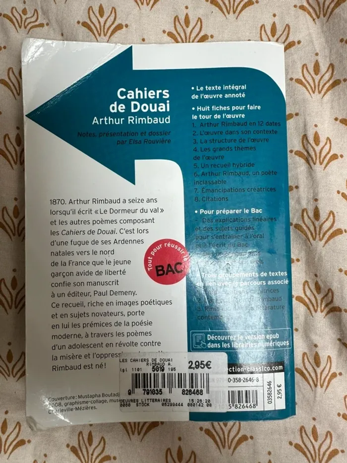 Les Cahiers de Douai – Arthur Rimbaud (poésie classique) - photo numéro 3