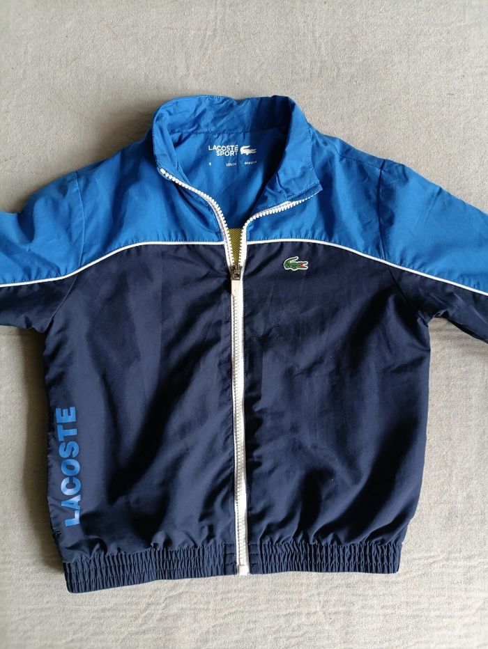 Veste lacoste
